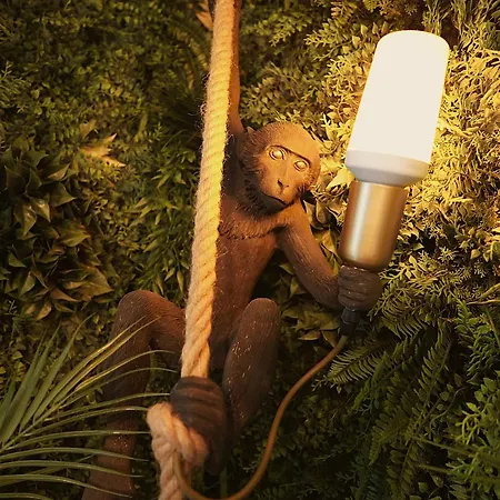 Des Aventuriers - Experience Unique & Atypique A Proche Du Centre Апартаменты *