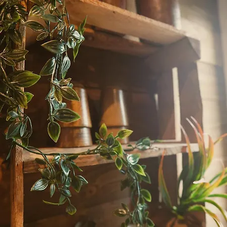 Des Aventuriers - Experience Unique & Atypique A Proche Du Centre Апартаменты Ницца